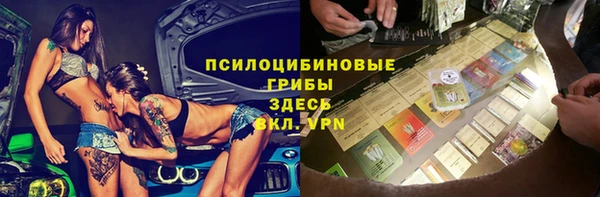 крисы Алексин