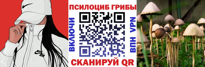 Псилоцибиновые грибы ЛСД  Кропоткин 